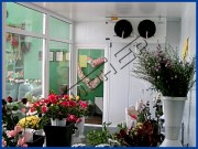 Камеры для цветов