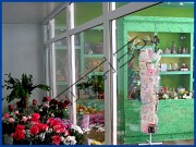 Камеры для цветов